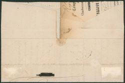 Image miniature