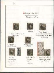 Image Lot