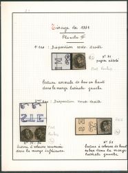 Image Lot