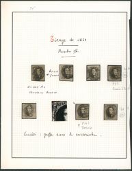 Image Lot