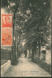 Image Lot