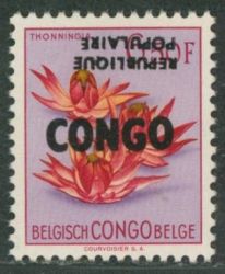 Image Lot