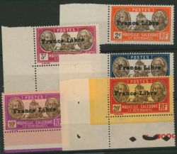 Image Lot